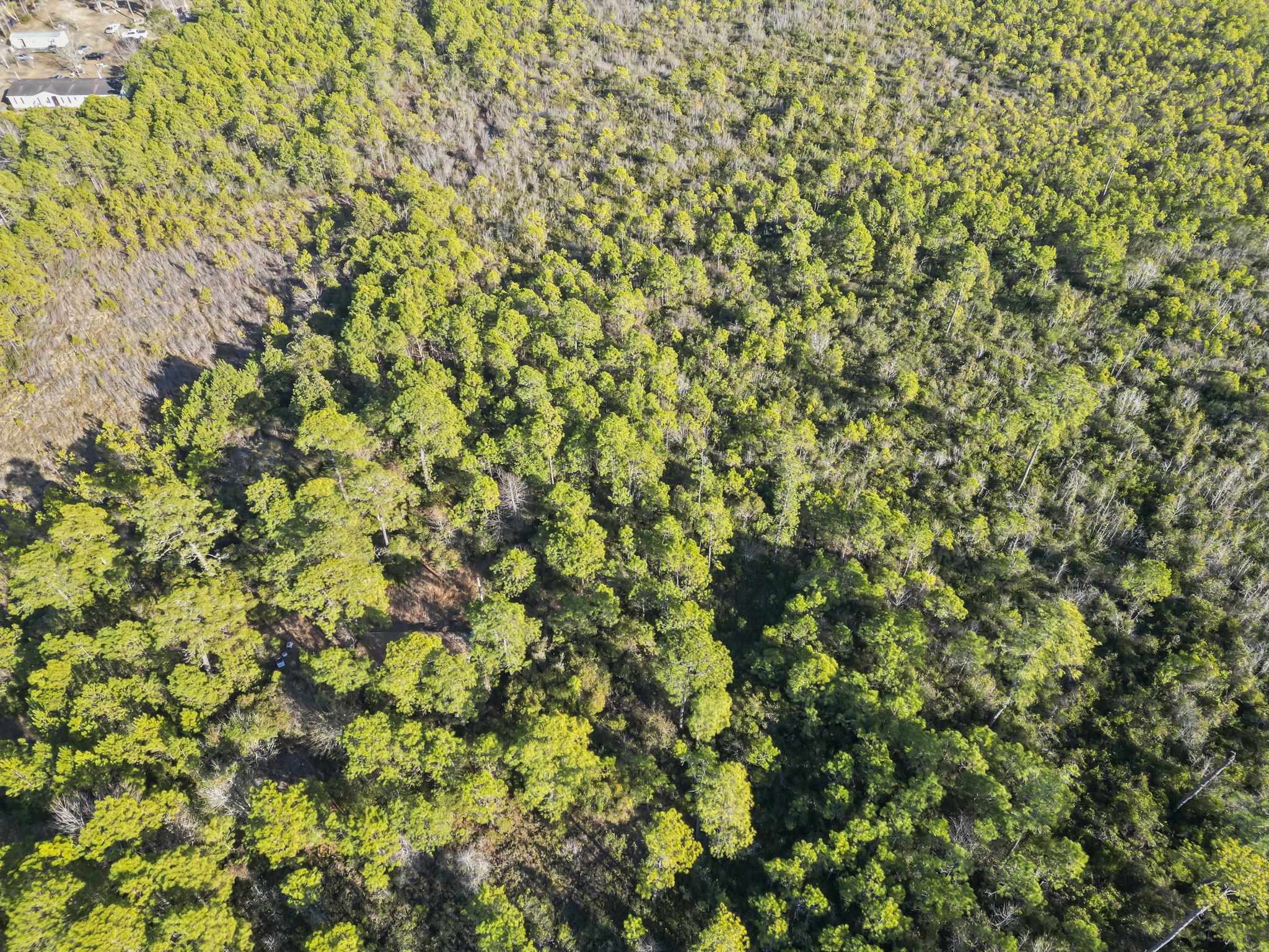Tbd Sugar Bowl Lane Longs, SC 29568 - Photo 6 of 7