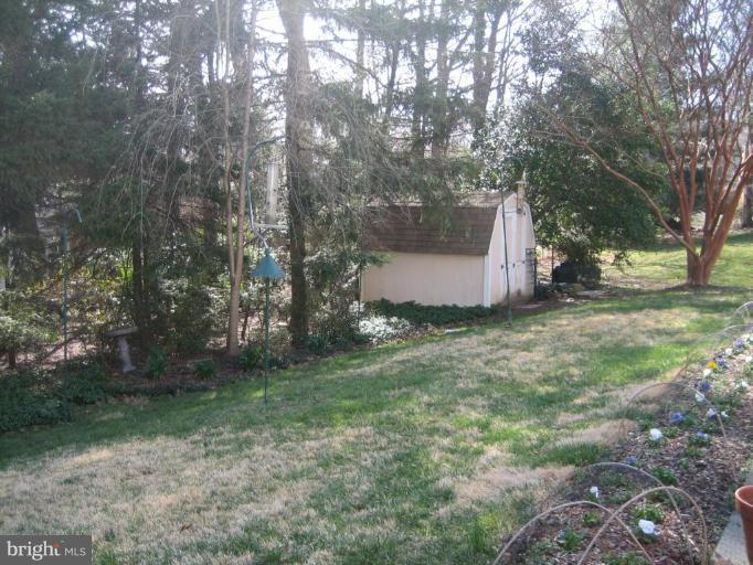 1906 Snowdrop Lane Silver Spring, MD 20906 - Photo 3 of 30 Back yard