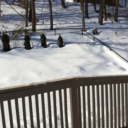 13 Buttaro Road Woburn, MA 01801 - Photo 16 of 19 Gallery Image 16