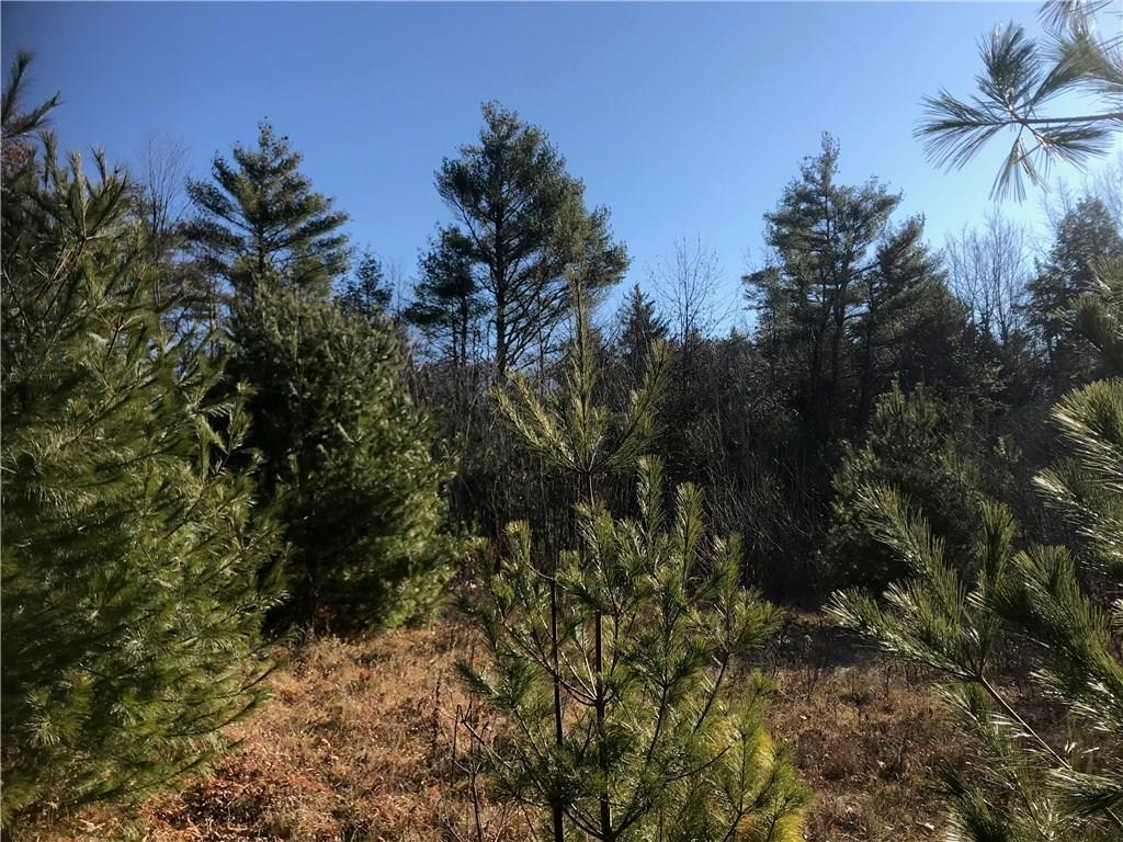 100 Bruce Hill Road Cumberland Center, ME 04021 - Photo 7 of 12 Photo