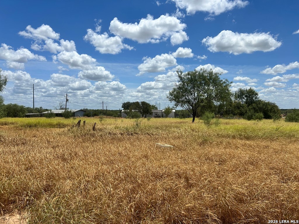 794 Duncan Street Crystal City, TX 78839 - Photo 17 of 38