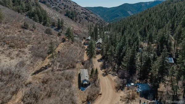 a view of a lot of trees