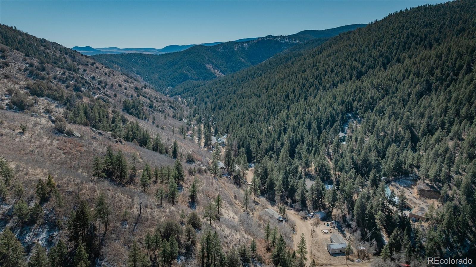 1906 Hidden Valley Road Sedalia, CO 80135 - Photo 21 of 27 a view of a lush green forest with lots of trees