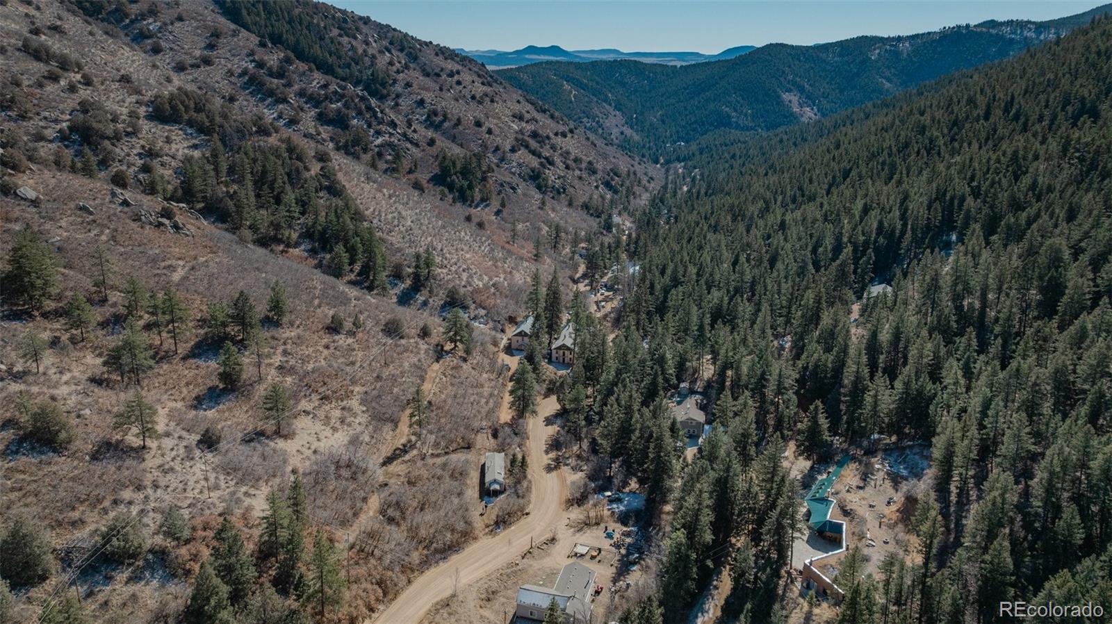 1906 Hidden Valley Road Sedalia, CO 80135 - Photo 22 of 27 a view of a forest with a mountain in the background