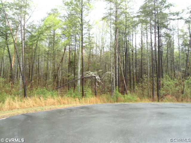Lot 268 Roderick Place Mineral, VA 23117 - Photo 1 of 1 Other