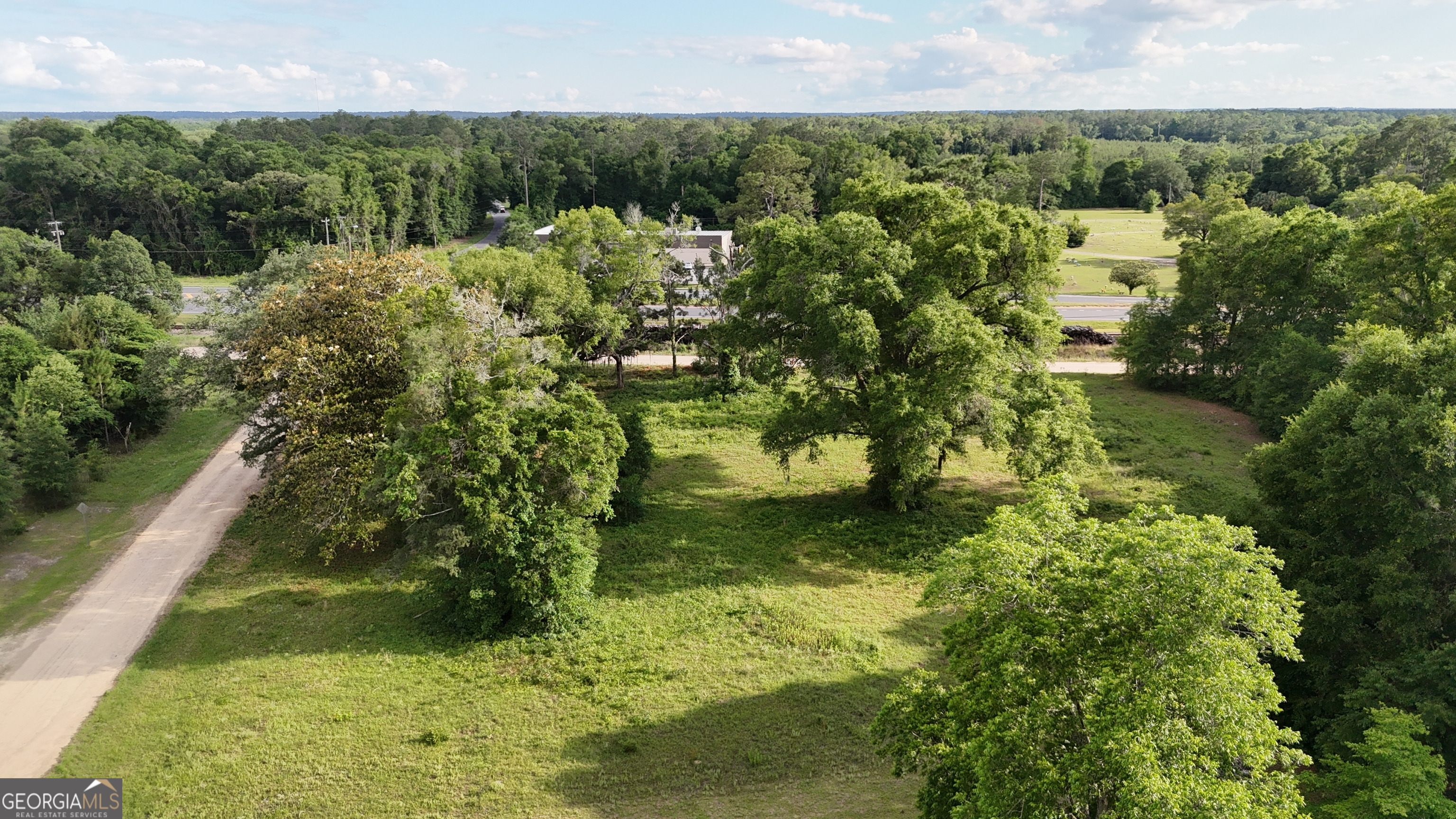 75-acre Butler Street Bainbridge, GA 39817 - Photo 2 of 13