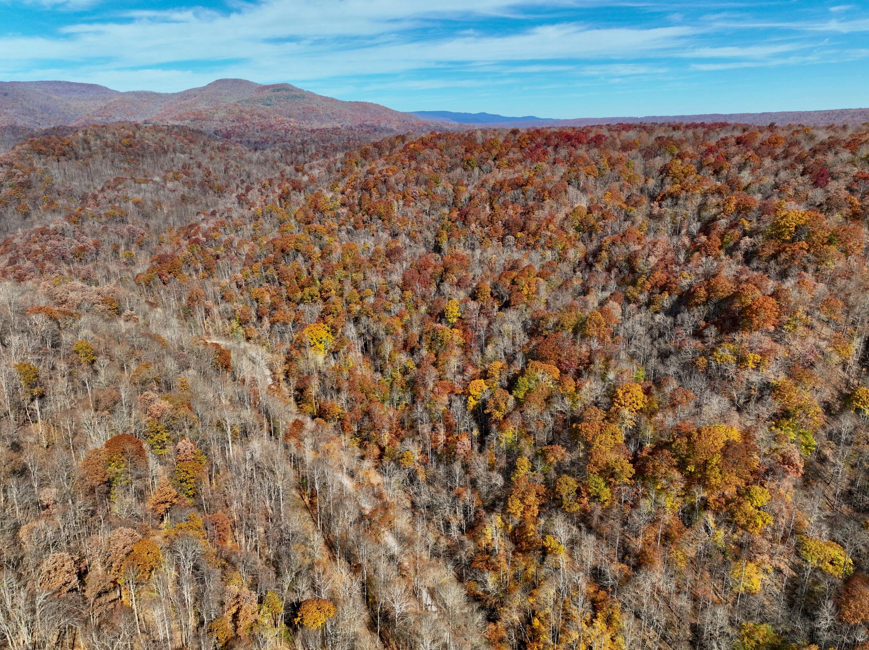 Robins Fork Road Renick, WV 24966 - Photo 2 of 34 Gallery Image 2