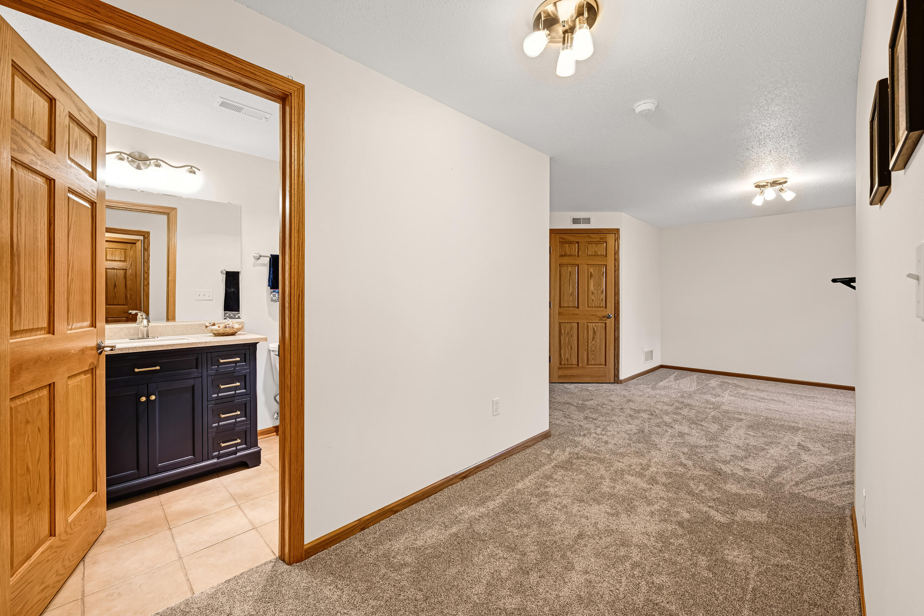 2138 Landings Lane Delavan, WI 53115 - Photo 23 of 43 New Carpeting in Lower Level
