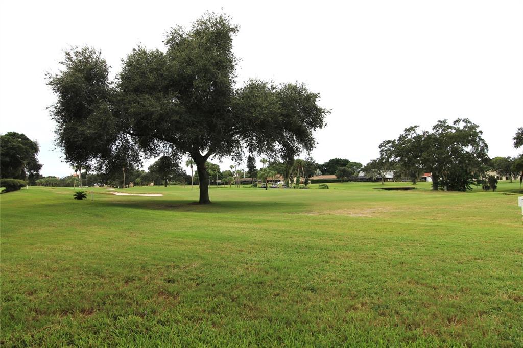 4119 61st Ave Terrace West, Unit 407 Bradenton, FL 34210 - Photo 17 of 19 a view of field with trees