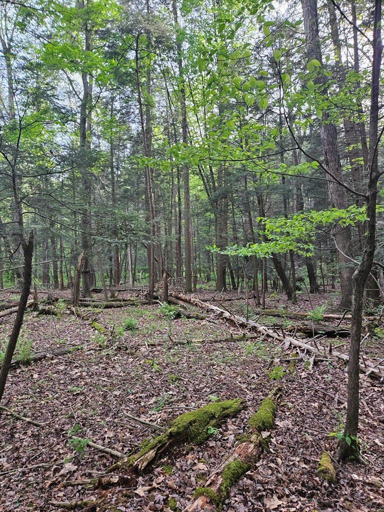 0 Hares Valley Road Mapleton Depot, PA 17052 - Photo 24 of 28 Gallery Image 24