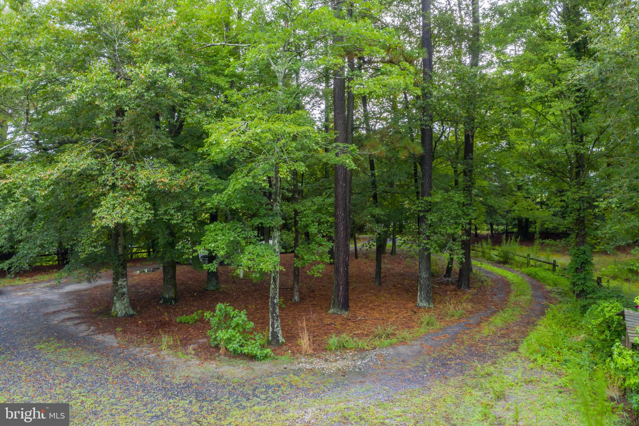 9036 Peerless Road Whaleyville, MD 21872 - Photo 13 of 17 Gallery Image 13