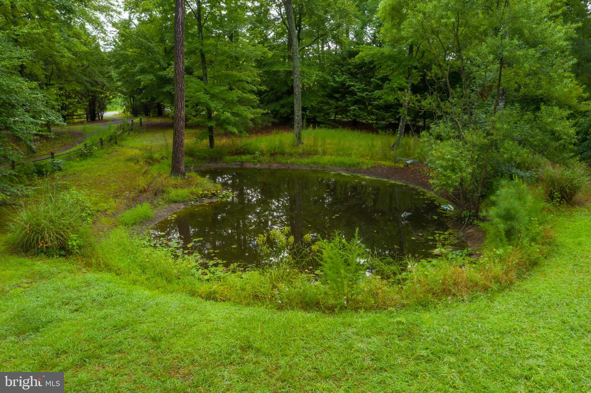 9036 Peerless Road Whaleyville, MD 21872 - Photo 14 of 17 Gallery Image 14