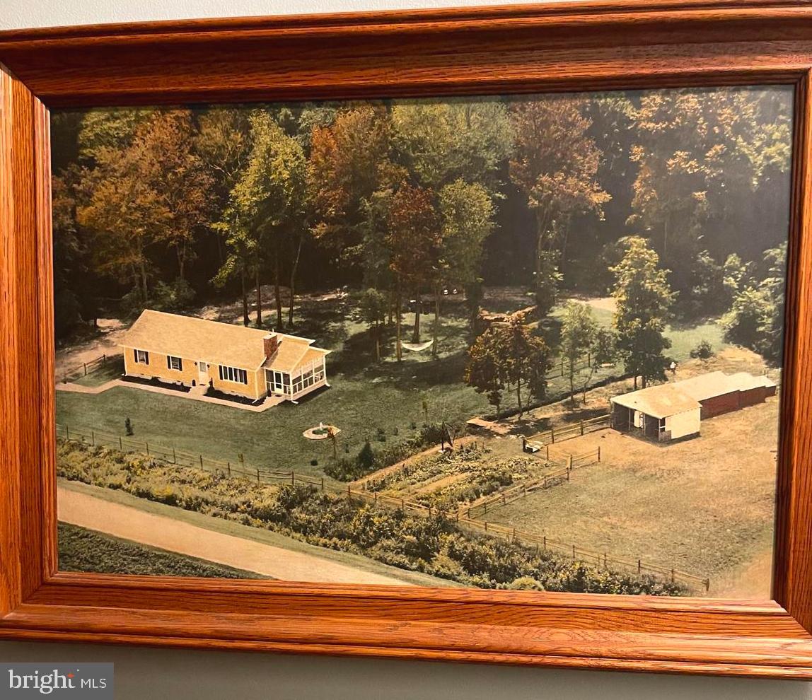9036 Peerless Road Whaleyville, MD 21872 - Photo 17 of 17 Portrait from approximately the late 1980'S