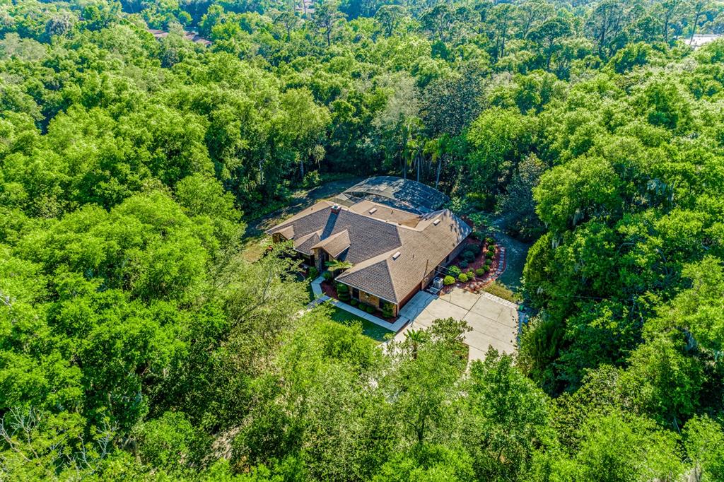 880 Braddock Road Deltona, FL 32725 - Photo 1 of 1 Ever dreamed of living in a secluded and serene garden-like setting with a POOL while still being close to parks, shopping, dining & entertainment? This is the home for you!