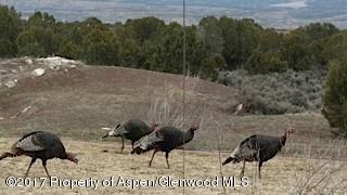 2662 Grass Mesa Road Rifle, CO 81650 - Photo 32 of 35 8