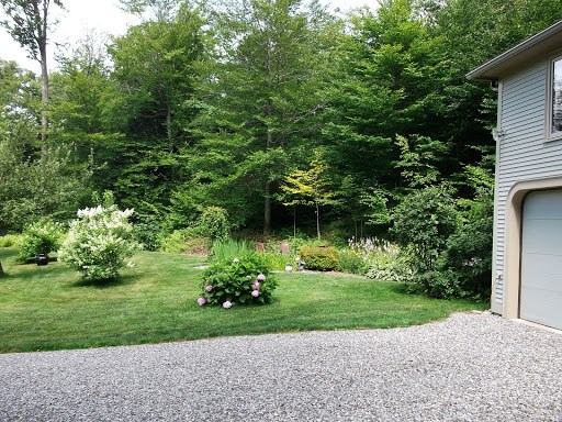 165 Molly Supple Hill Road Middlesex, VT 05602 - Photo 33 of 35 Gallery Image 33