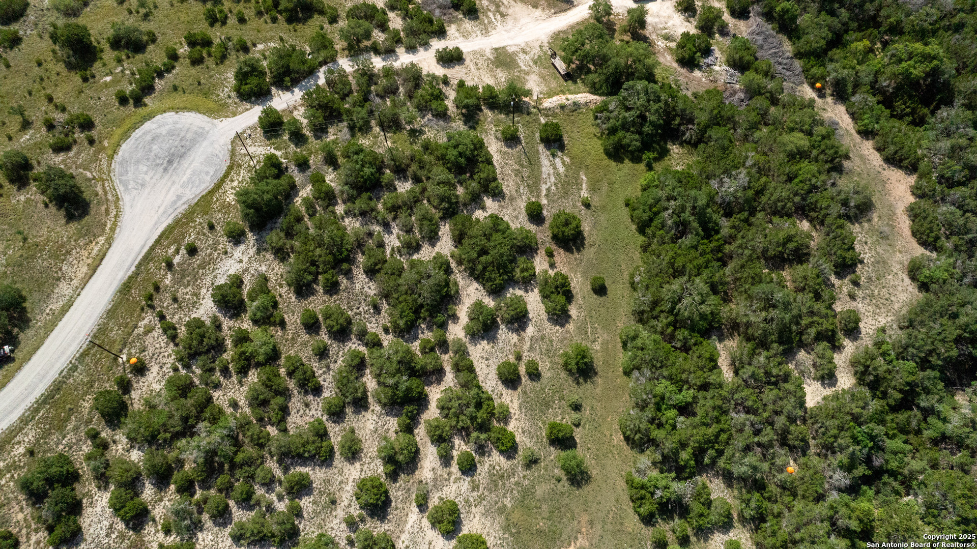 525 Rock Trail Place Spring Branch, TX 78070 - Photo 6 of 22 a view of a plant