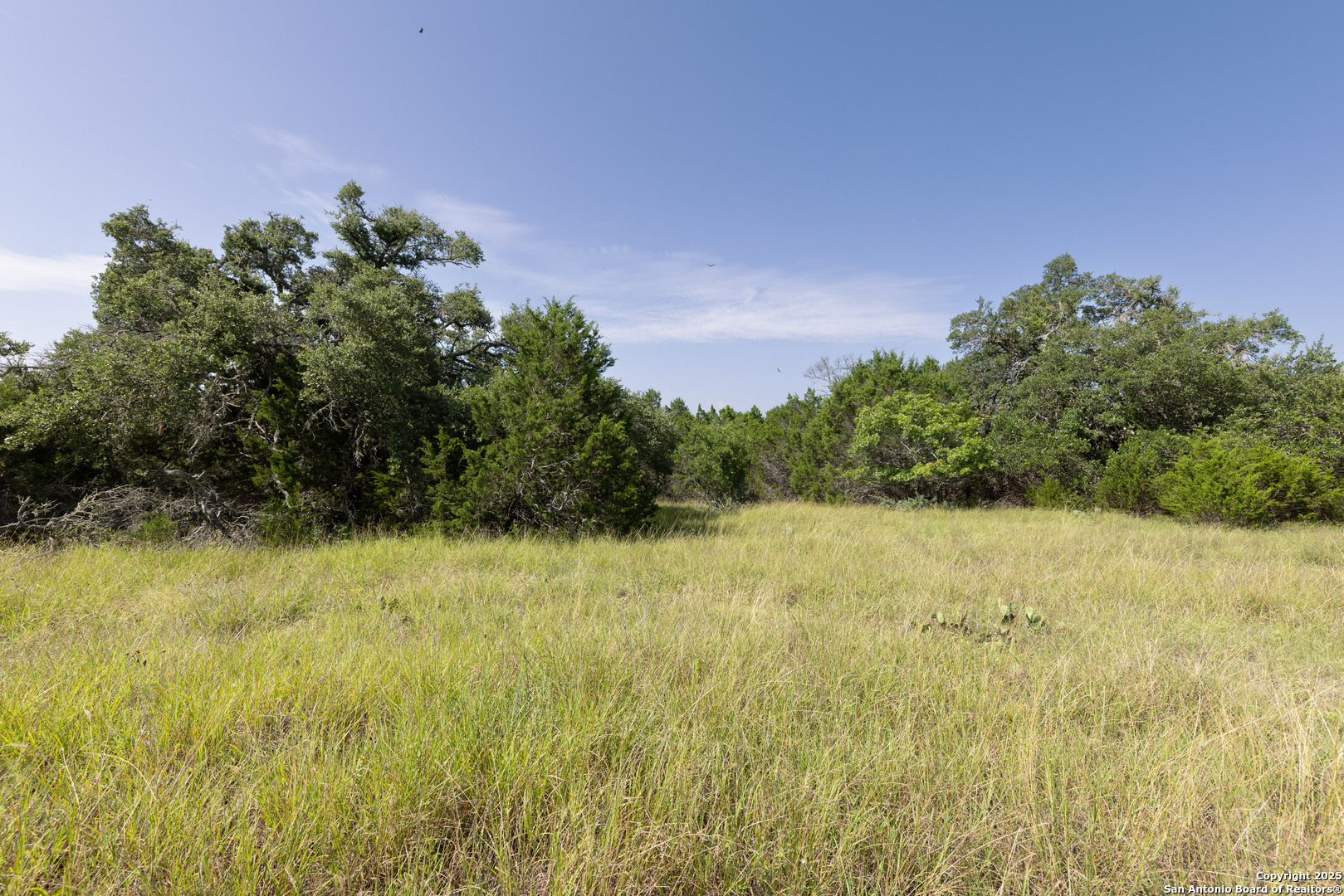 525 Rock Trail Place Spring Branch, TX 78070 - Photo 10 of 22 a view of a yard
