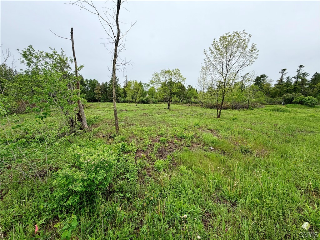 8 County Rte Cape Cape Vincent, NY 13618 - Photo 12 of 13