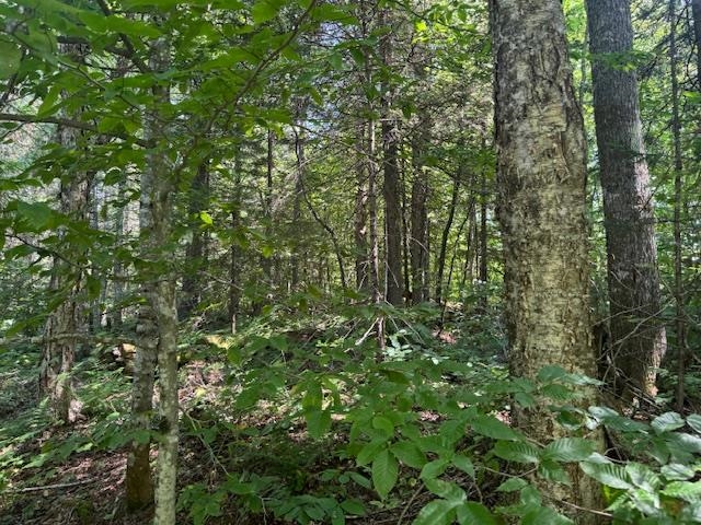 639 Horace Way Road Albany, VT 05820 - Photo 16 of 26 Gallery Image 16