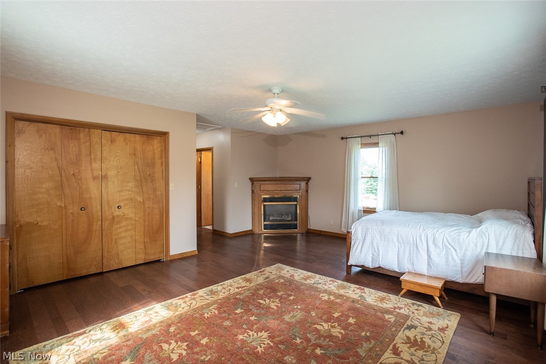 70 Fixler Road Wadsworth, OH 44281 - Photo 21 of 35 Gas fireplace and large closet