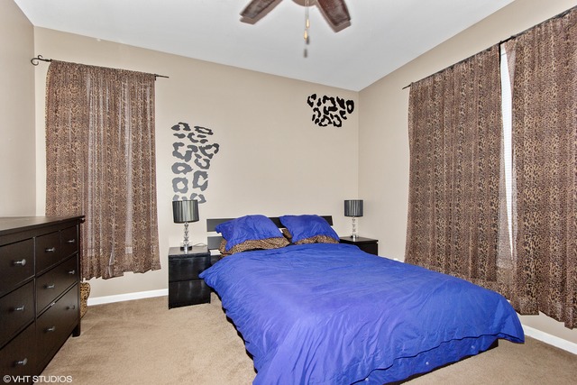 4335 Timber Ridge Court Joliet, IL 60431 - Photo 9 of 15