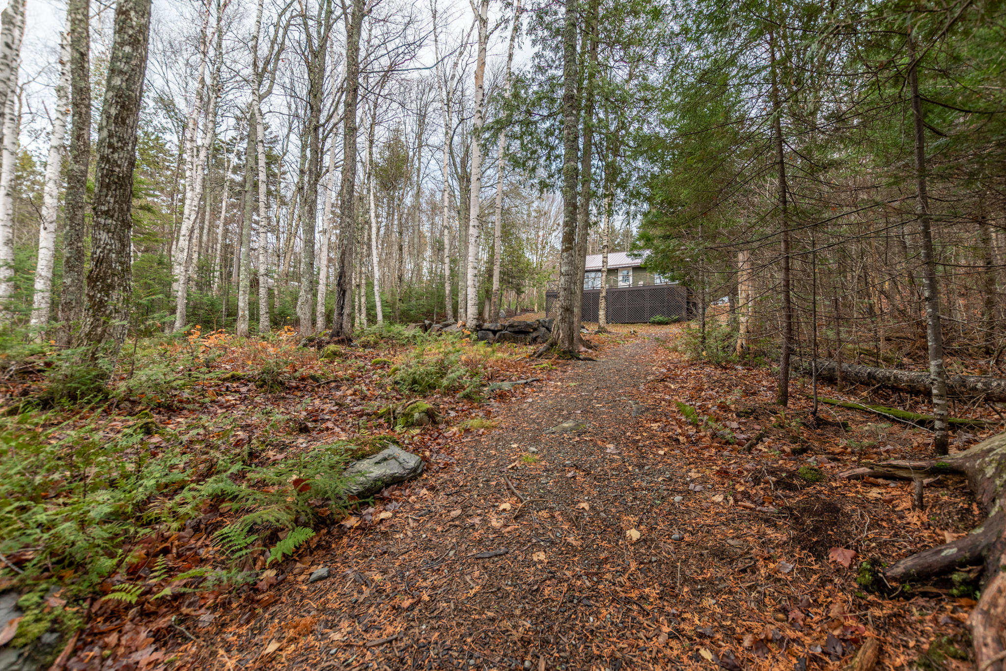 12 Deer Run Road Greenville, ME 04441 - Photo 21 of 27 Deer Run-24