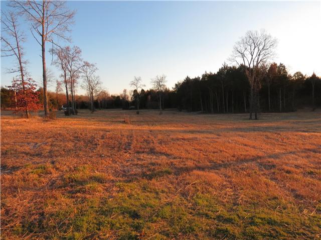 3 Chicken Road Lebanon, TN 37090 - Photo 1 of 2