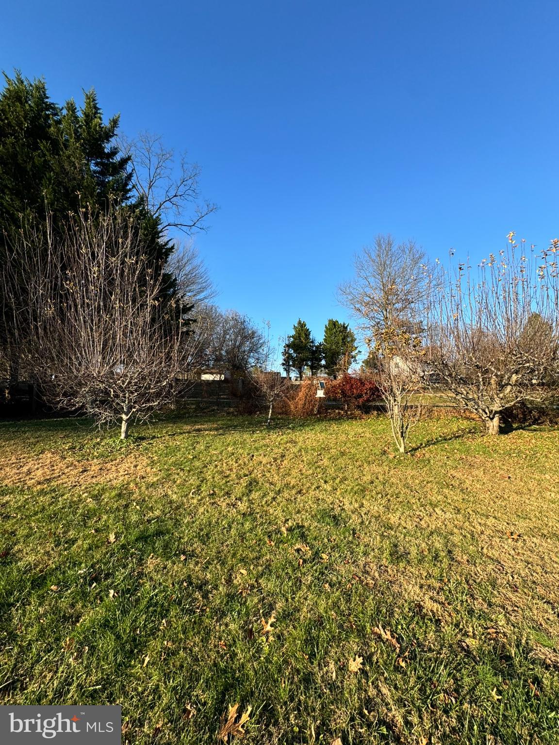 91 Mountain Road Rising Sun, MD 21911 - Photo 12 of 17 a view of outdoor space and yard
