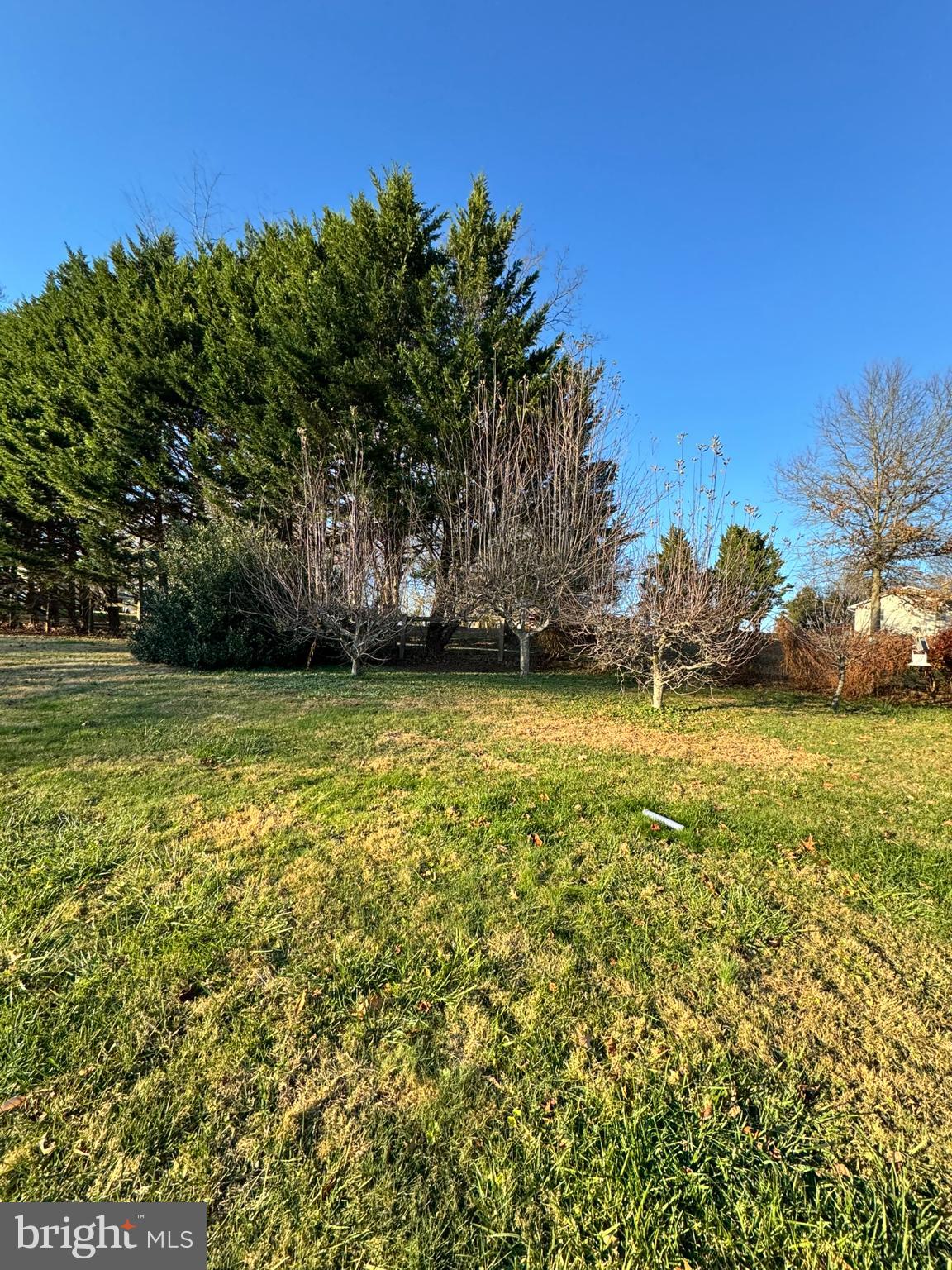 91 Mountain Road Rising Sun, MD 21911 - Photo 14 of 17 a view of a yard with a tree