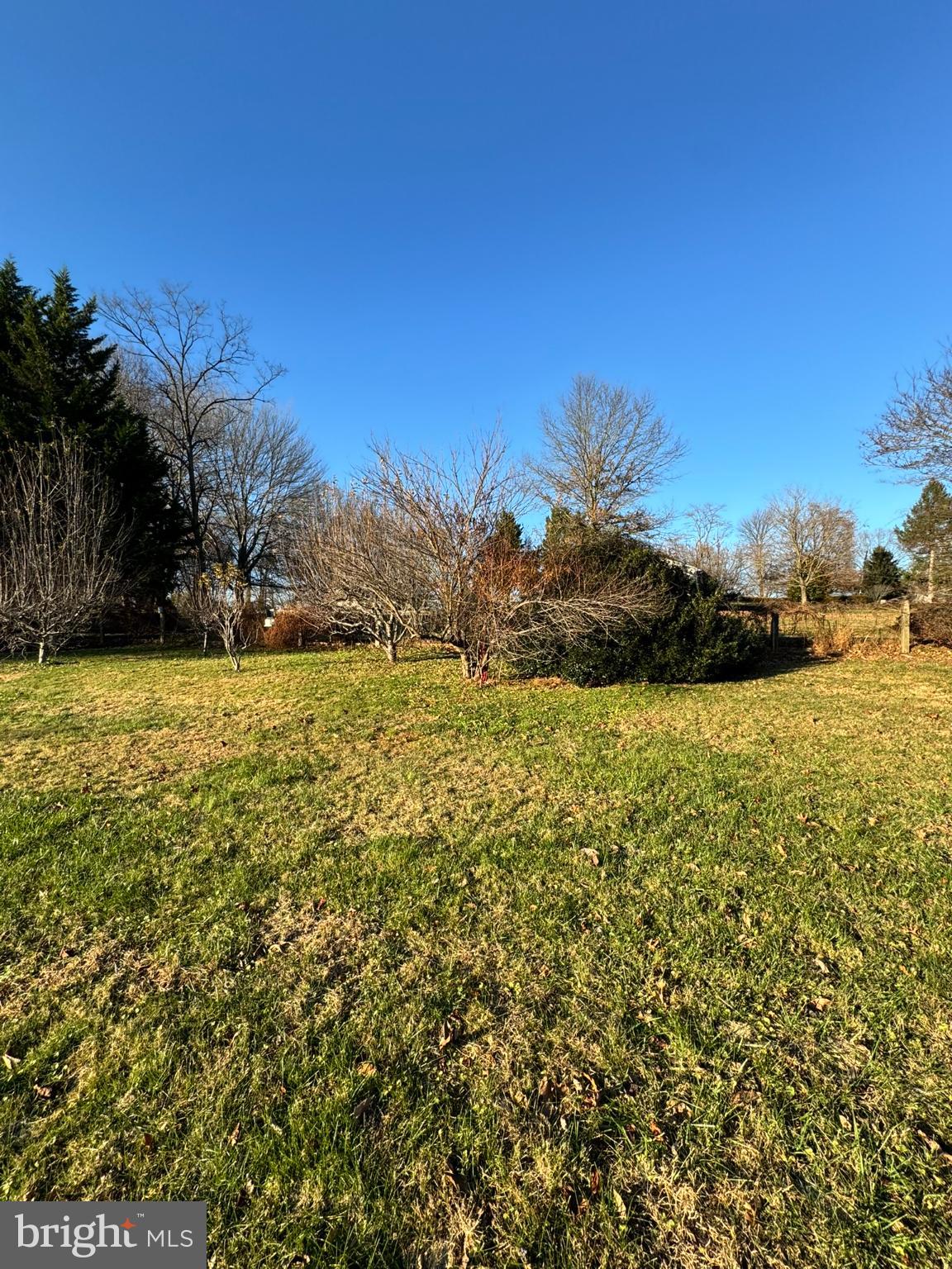 91 Mountain Road Rising Sun, MD 21911 - Photo 15 of 17 a view of yard with large tree