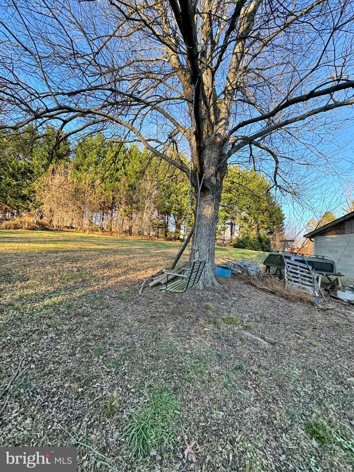 91 Mountain Road Rising Sun, MD 21911 - Photo 17 of 17 a view of a yard with a tree