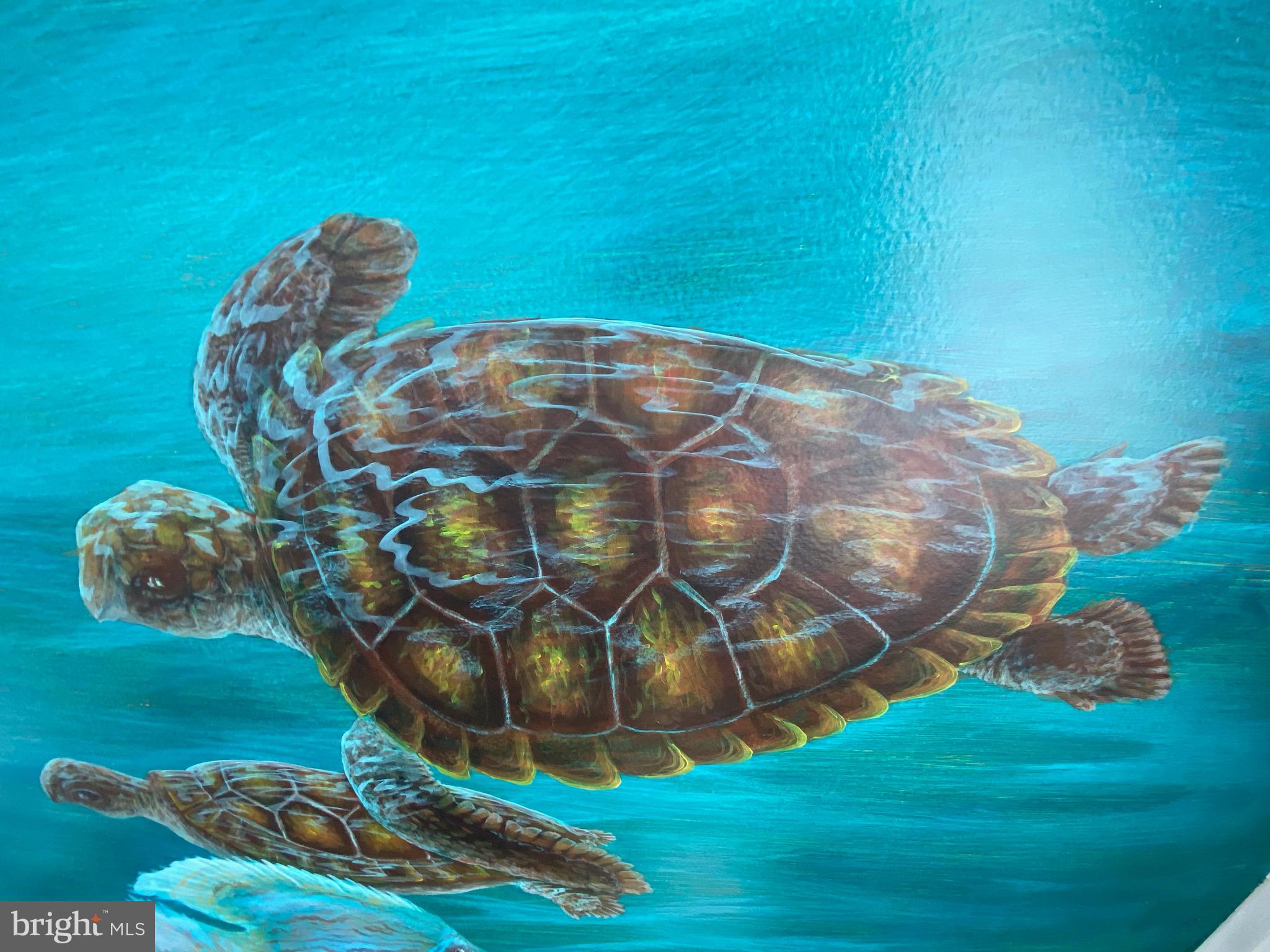38455 Bayview Road Coltons Point, MD 20626 - Photo 42 of 77 Hand painted mural