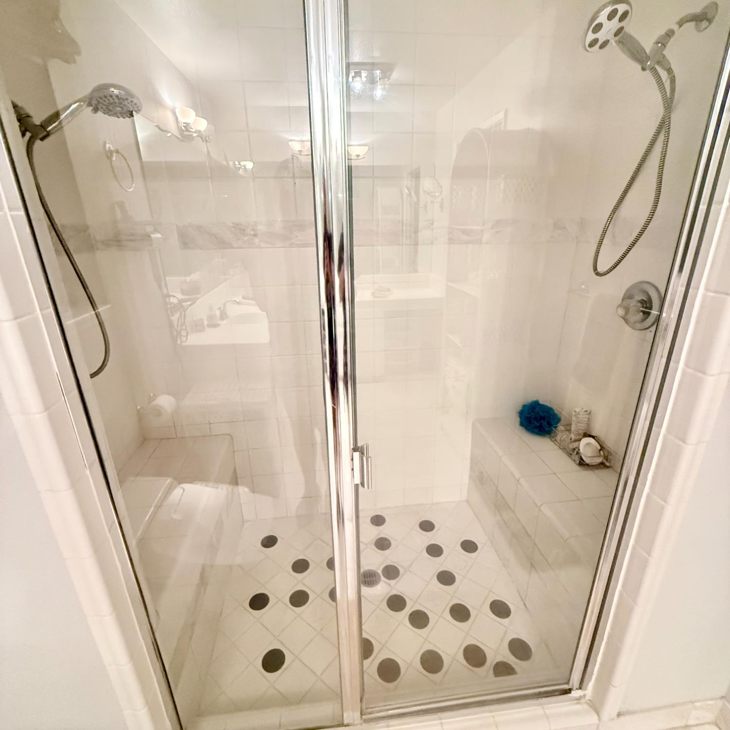 3109 Fredericksburg Way Modesto, CA 95355 - Photo 16 of 32 Primary SHower