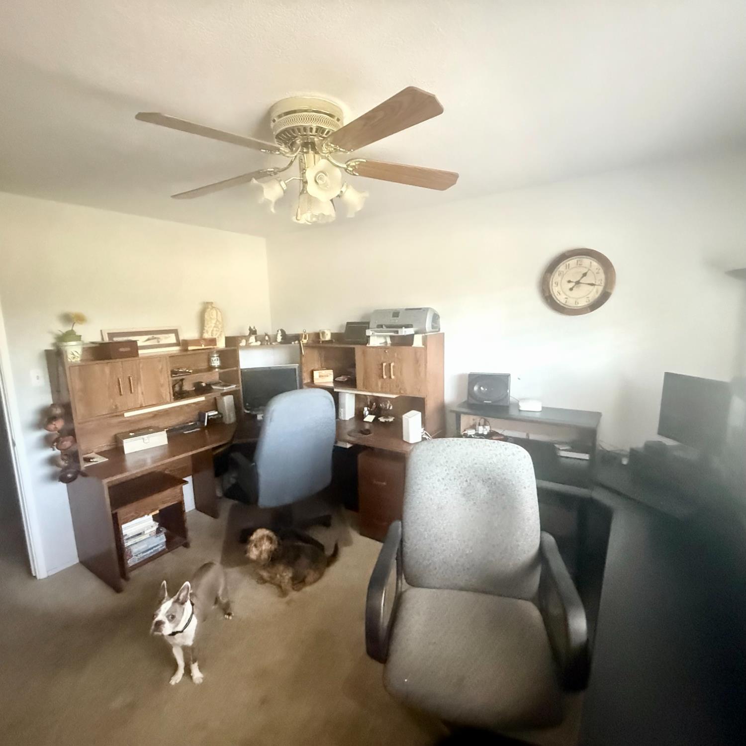 3109 Fredericksburg Way Modesto, CA 95355 - Photo 22 of 32 a view of a livingroom with furniture and a large window