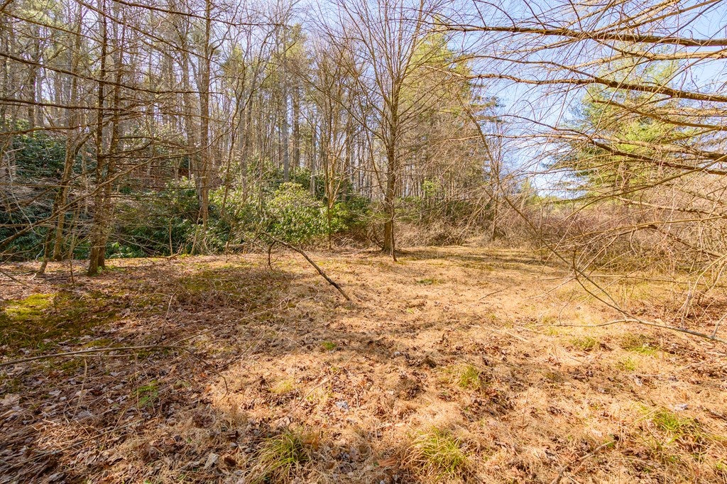 0 Kings Store Road Northeast, Unit 5 Floyd, VA 24091 - Photo 21 of 25 Gallery Image 21