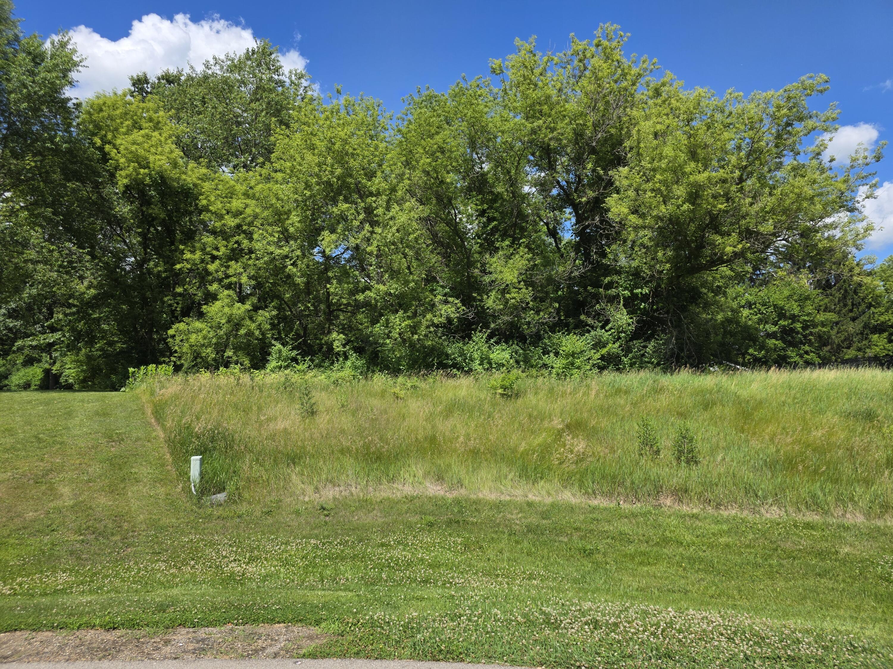 Lot 19 Burning Tree Street Jackson, MI 49201 - Photo 2 of 3 20260615_154520