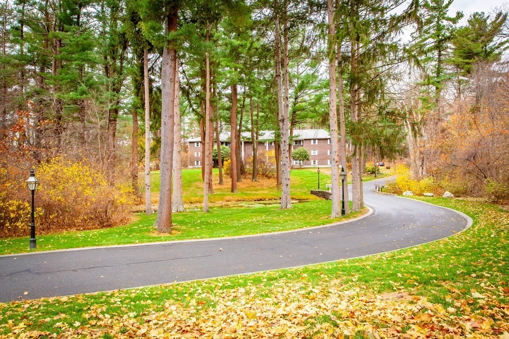 420 Great Road, Unit C2 Acton, MA 01720 - Photo 1 of 20 a view of a park with large trees