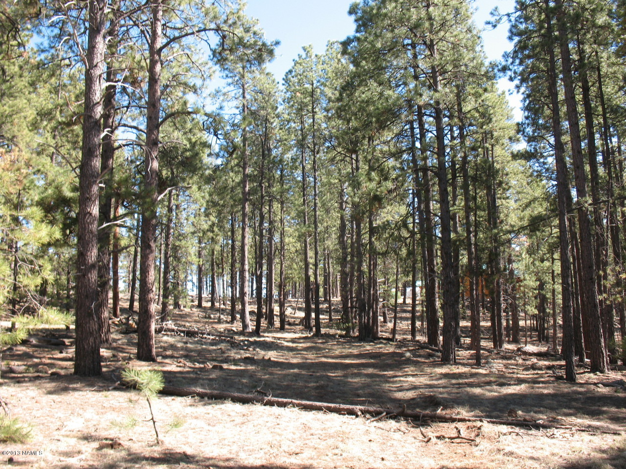 6473 North Sanderson Pass Road Parks, AZ 86018 - Photo 1 of 15 Driveway