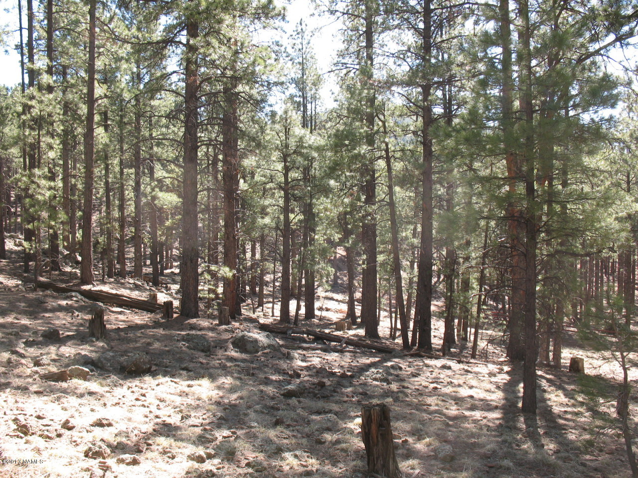 6473 North Sanderson Pass Road Parks, AZ 86018 - Photo 8 of 15 IMG_4978