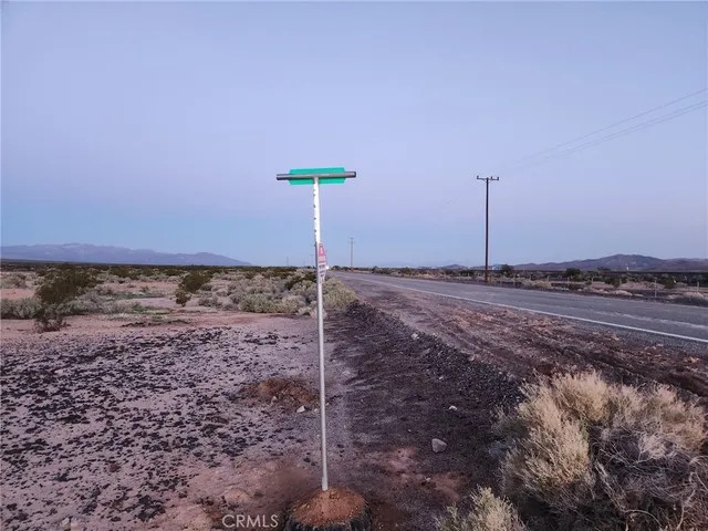 a view of a dry yard