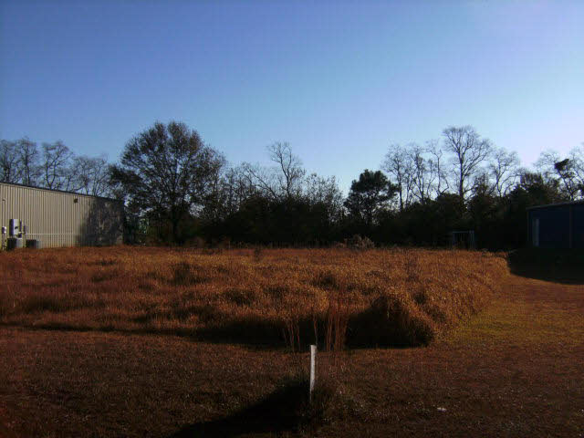 0 Pine Street Foley, AL 36535 - Photo 1 of 1