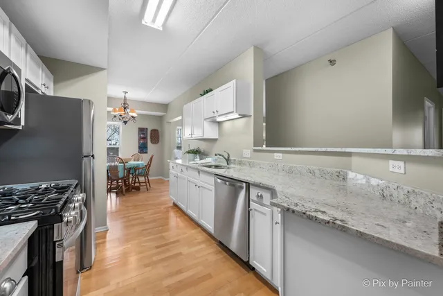 $300,000 | 440 West Mahogany Court, Unit 312, Palatine, IL 60067