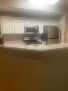 $325,000 | 440 West Mahogany Court, Unit 312, Palatine, IL 60067