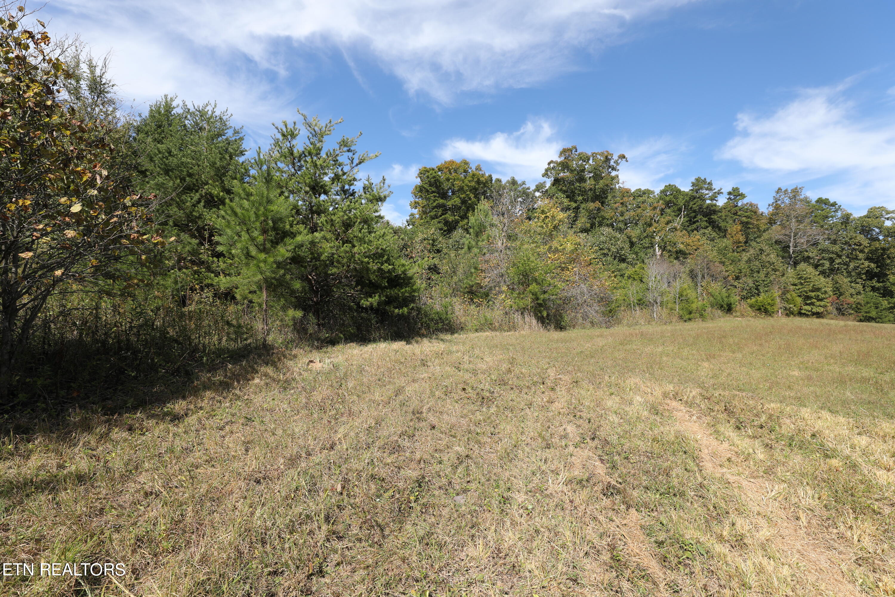 Stinnett Road Madisonville, TN 37354 - Photo 11 of 15 144A4377