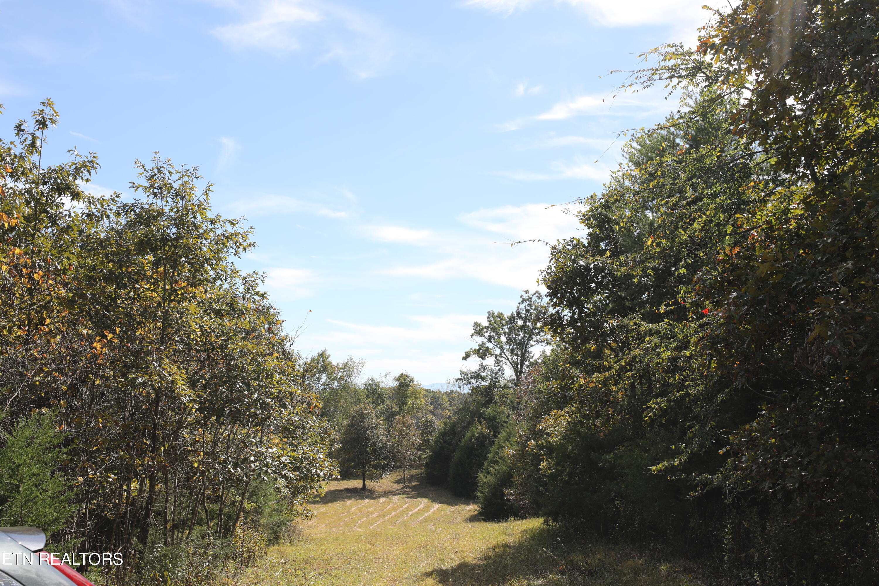 Stinnett Road Madisonville, TN 37354 - Photo 12 of 15 144A4378