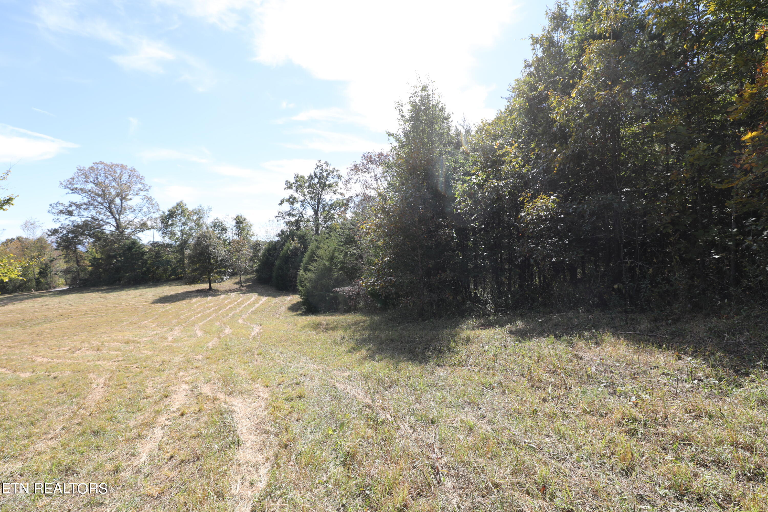 Stinnett Road Madisonville, TN 37354 - Photo 14 of 15 144A4382