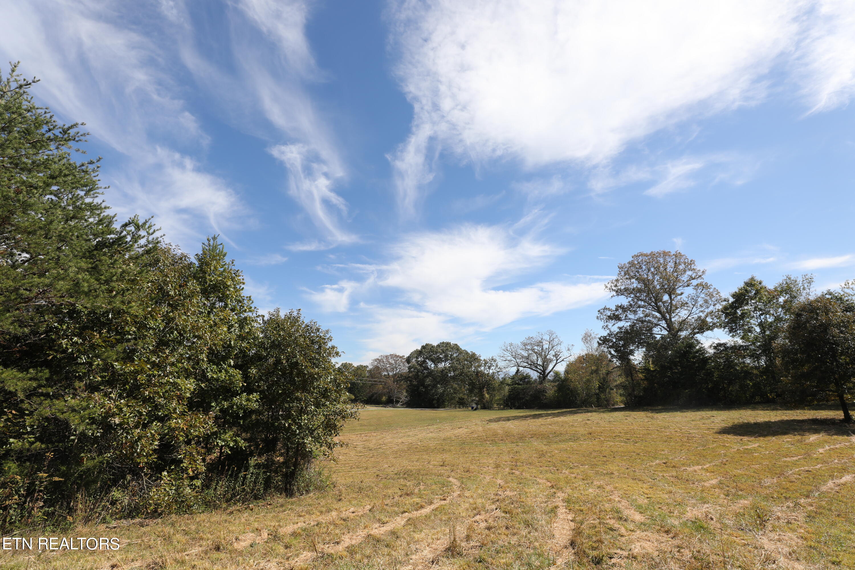 Stinnett Road Madisonville, TN 37354 - Photo 15 of 15 144A4383