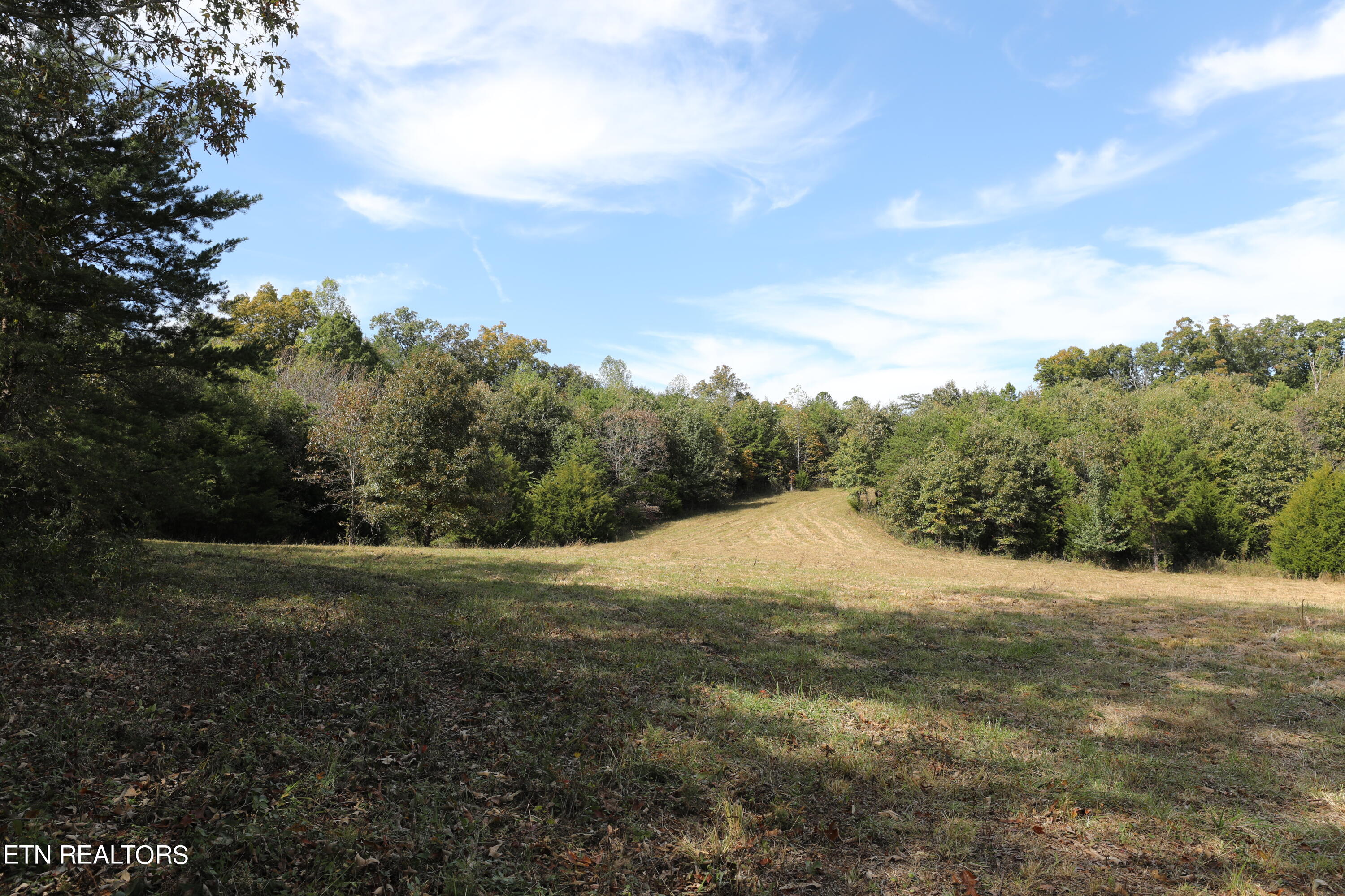 Stinnett Road Madisonville, TN 37354 - Photo 3 of 15 144A4368