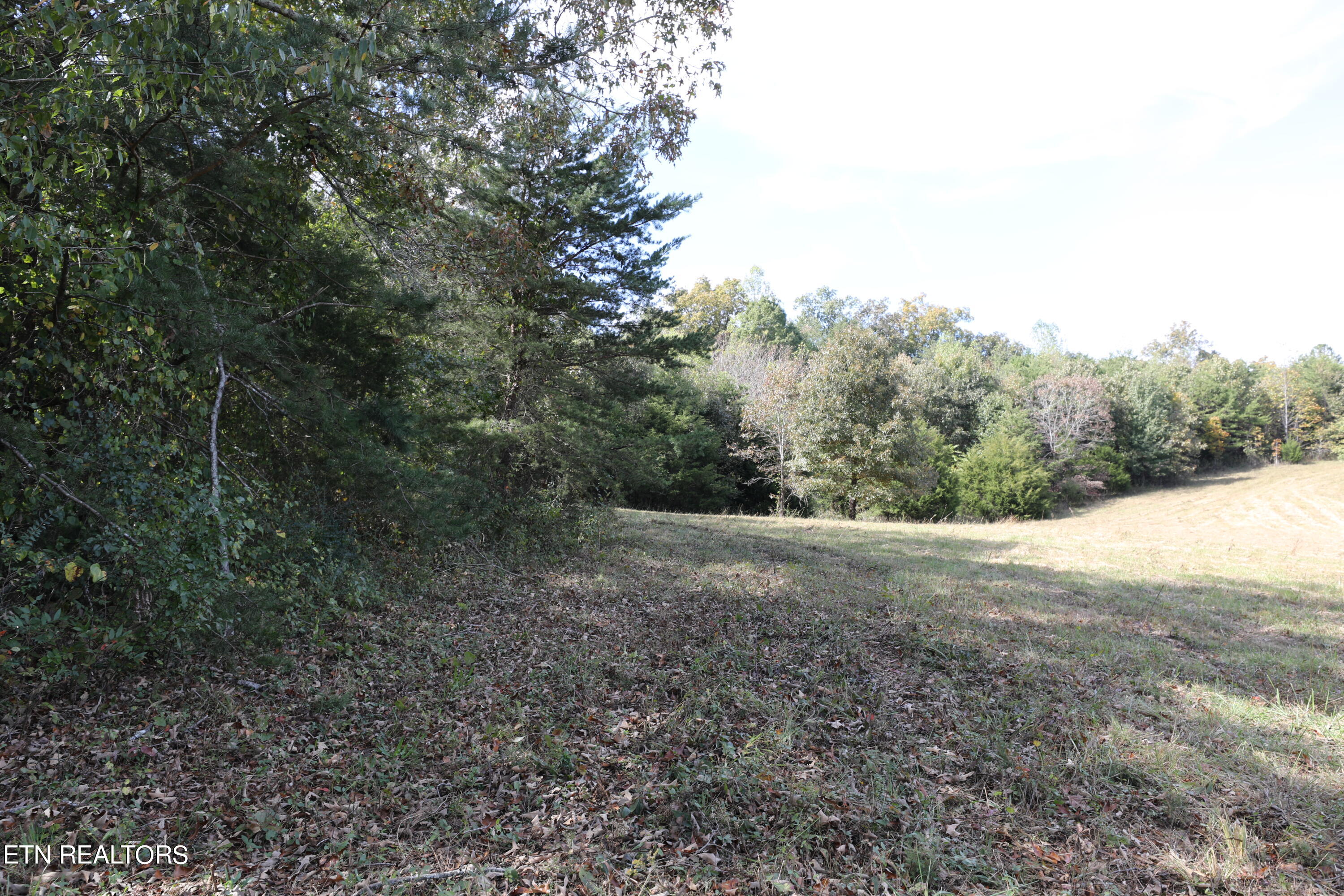 Stinnett Road Madisonville, TN 37354 - Photo 4 of 15 144A4369